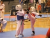 cdk_tmt-2011-03