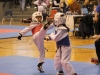 cdk_tmt-2011-04