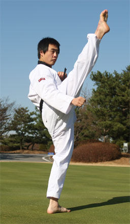 Adult Taekwondo Class