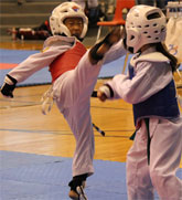 You are currently viewing Sparring Season – Spring 2012