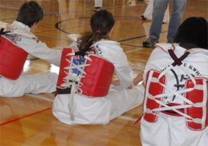Read more about the article Ann Arbor Taekwondo Tournament 2012