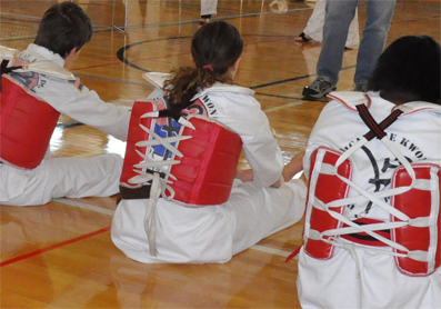 You are currently viewing Ann Arbor Taekwondo Tournament 2012