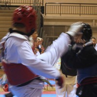 Read more about the article Governor’s Cup Taekwondo Tournament – 2012