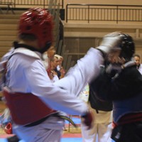 Read more about the article Governor’s Cup Taekwondo Tournament – 2012
