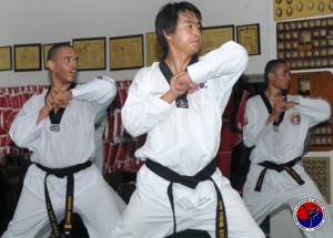 Read more about the article Great Lakes Cup Taekwondo Tournament – 2012