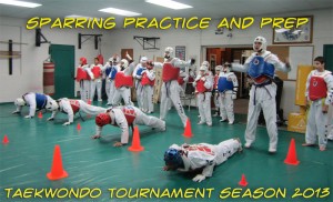 Read more about the article Taekwondo Tournament Season