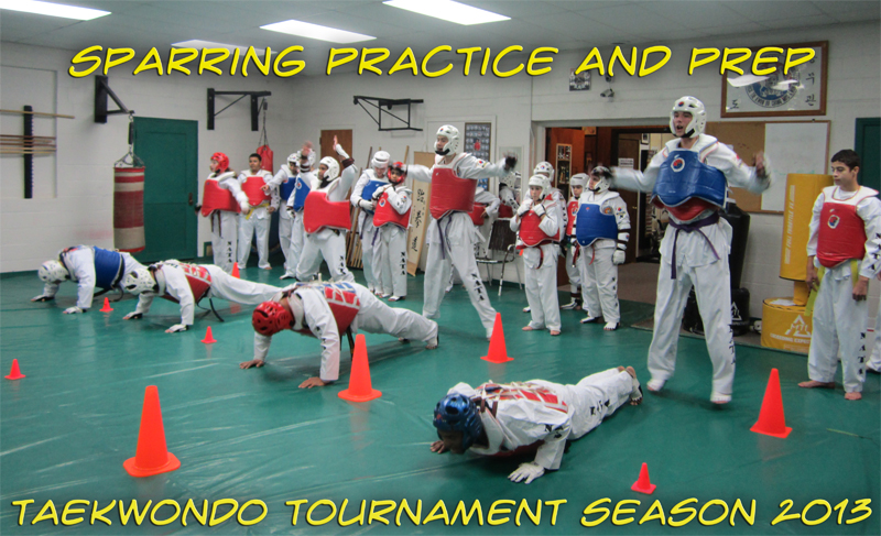 You are currently viewing Taekwondo Tournament Season