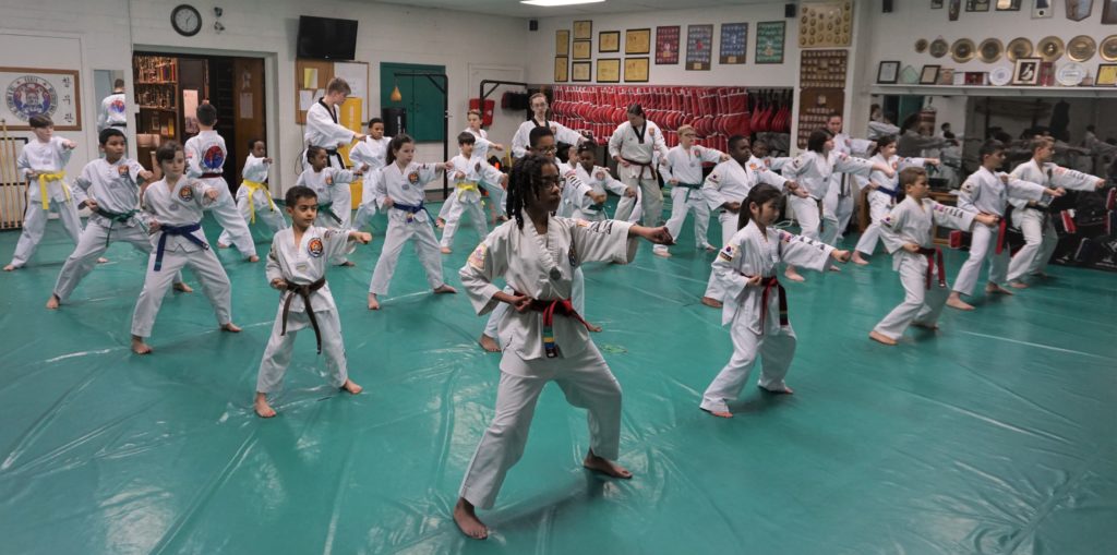 Kids Taekwondo Class